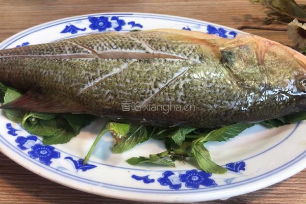 薄荷鲈鱼的做法图解4
