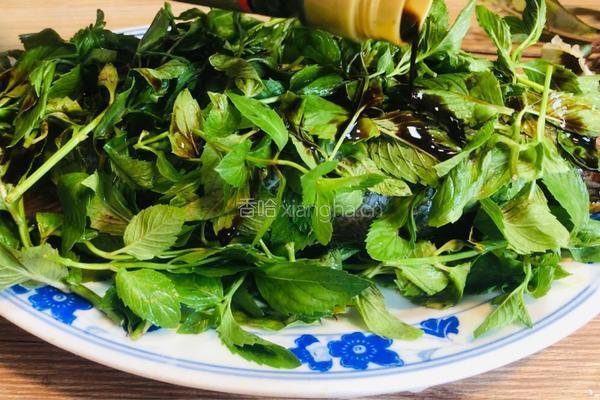薄荷鲈鱼的做法图解5