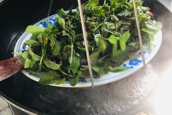 薄荷鲈鱼的做法图解6