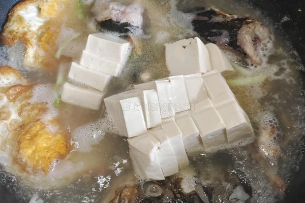 鱼头豆腐汤的做法图解8