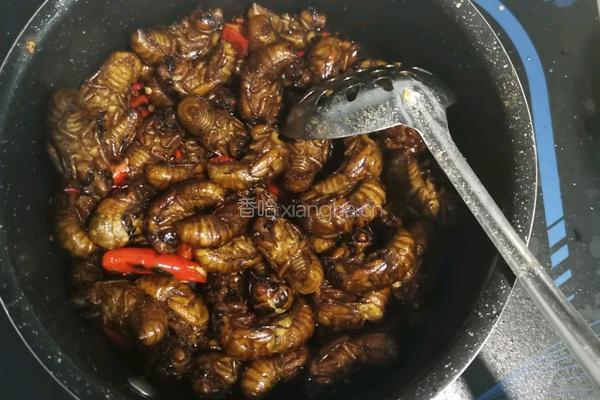 香辣油炸干煸知了猴的做法图解7