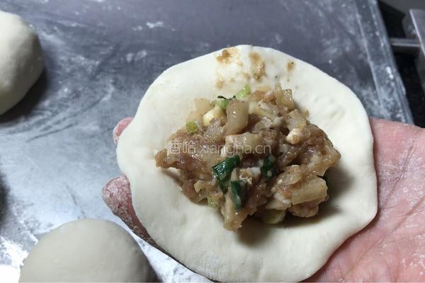 萝卜肉馅包子-神奇的面粉的做法图解12
