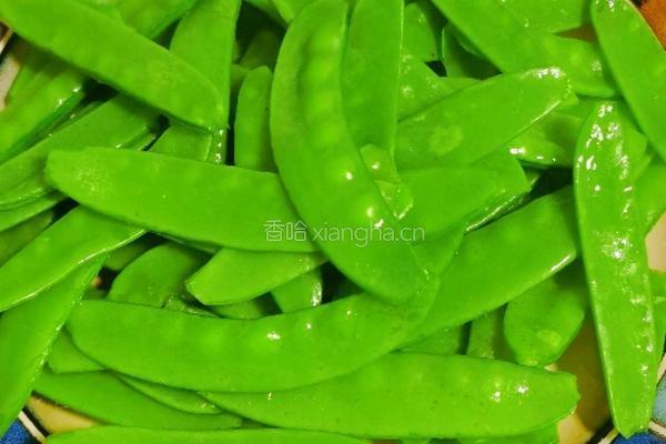 肉炒荷兰豆的做法图解2
