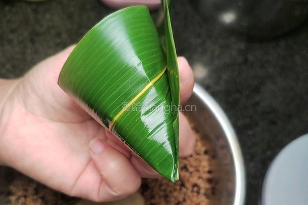 自制砂锅酱香排骨鲜粽子的做法图解10