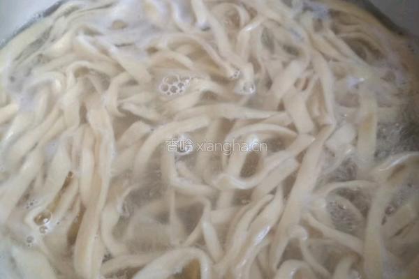手擀面的做法图解12