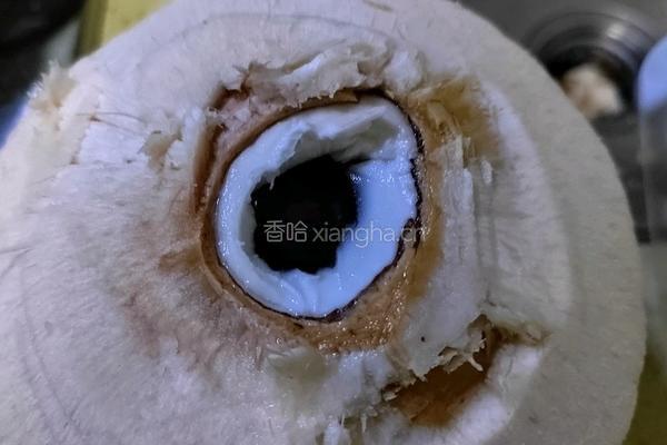 海南椰子鸡面的做法图解3