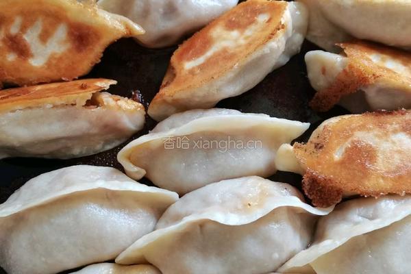 猪肉南瓜煎饺的做法图解15