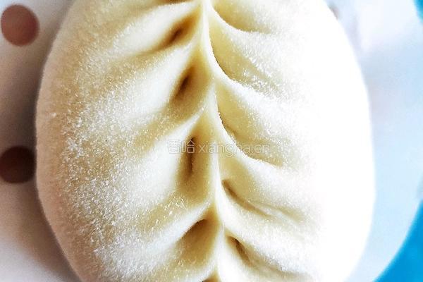 牛心菜包子的做法图解7