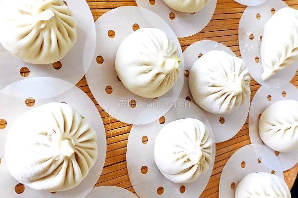 牛心菜包子的做法图解8