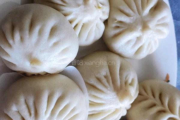 牛心菜包子的做法图解9
