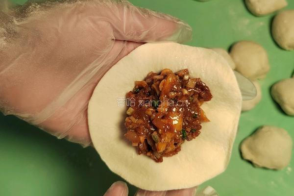 自制香菇鸡腿包子的做法图解20