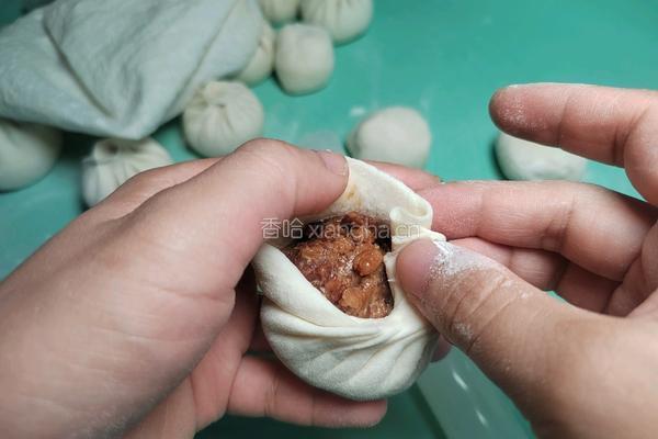 自制香菇鲜肉小笼包的做法图解23
