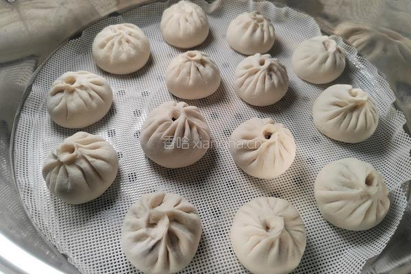 自制香菇鲜肉小笼包的做法图解26