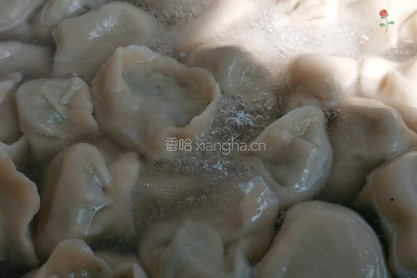 韭菜水饺的做法图解11