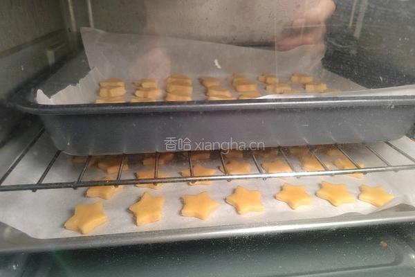 自制营养小饼干的做法图解14