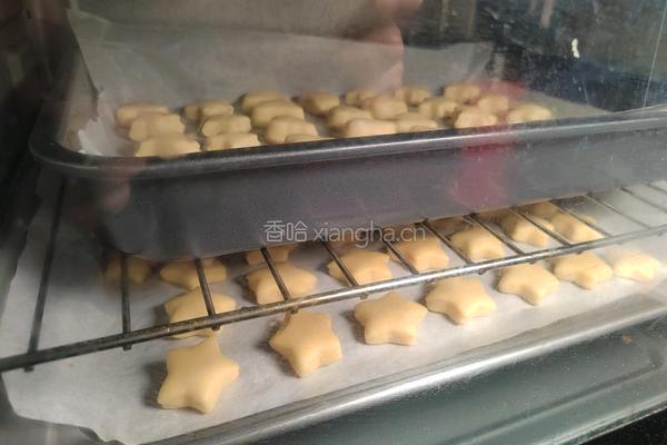 自制营养小饼干的做法图解12