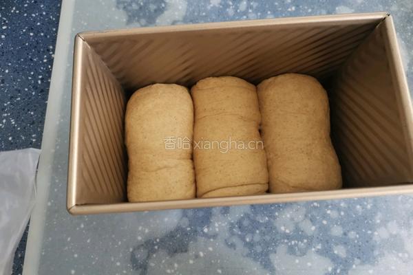全麦吐司（50％）的做法图解15