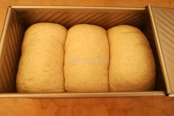 全麦吐司（50％）的做法图解17