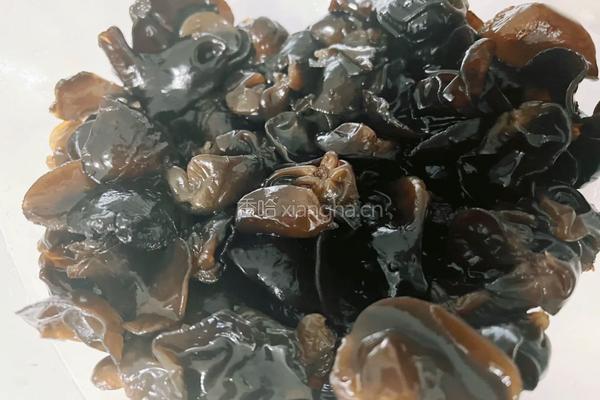 凉拌木耳的做法图解3