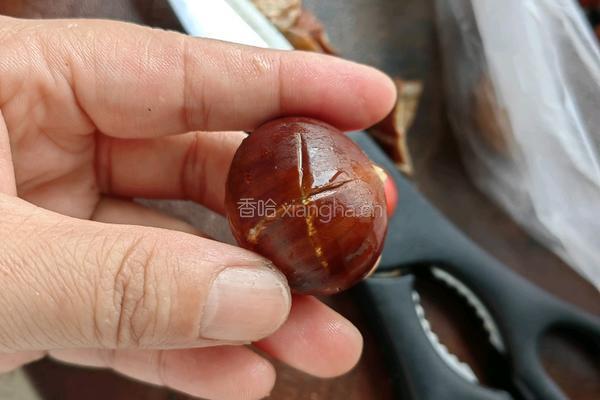 板栗鸡的做法图解1