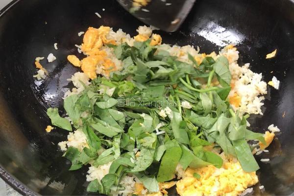苹果鸡蛋炒饭的做法图解7
