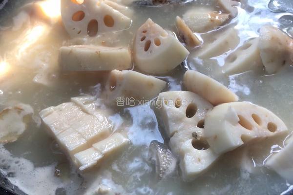 柴鱼焖藕的做法图解7