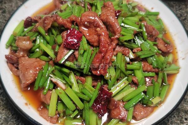 自制韭菜花儿炒肉的做法图解16