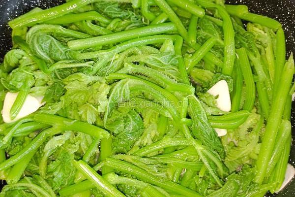 肉片炒南瓜尖的做法图解8