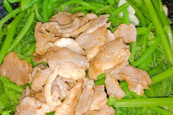 肉片炒南瓜尖的做法图解9