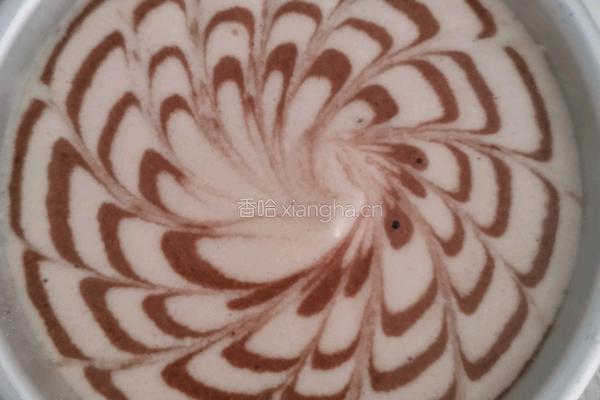斑马纹蛋糕的做法图解9