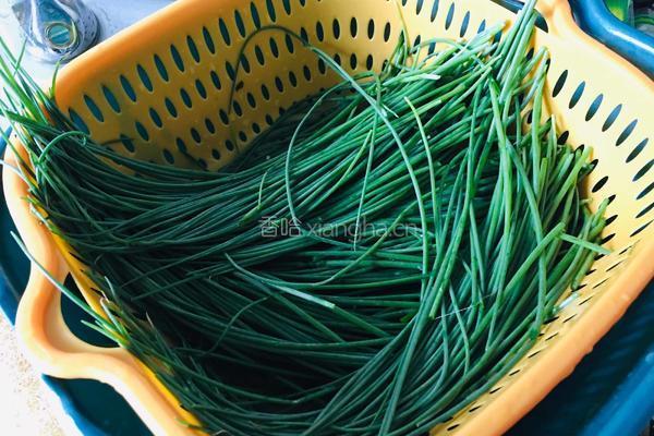 凉拌沙葱的做法图解1