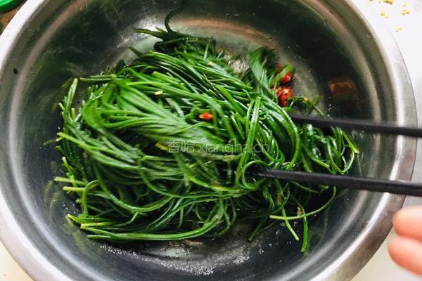 凉拌沙葱的做法图解9
