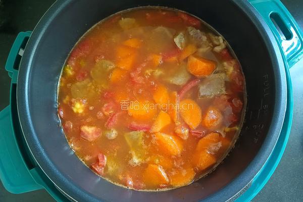 番茄牛肉烩意面的做法图解4