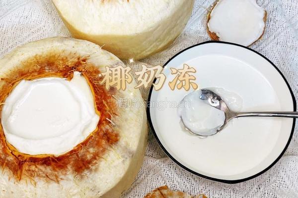 椰香浓郁的椰奶冻