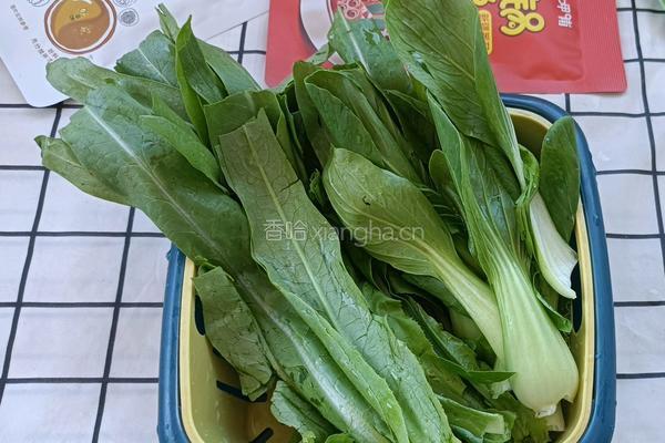 番茄火锅的做法图解3