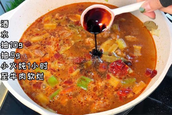 腐竹烧牛肉的做法图解4