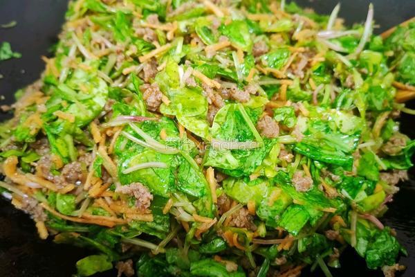萝卜苗肉馅的做法图解11