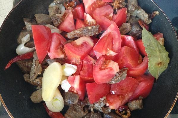 番茄炖牛肉的做法图解7