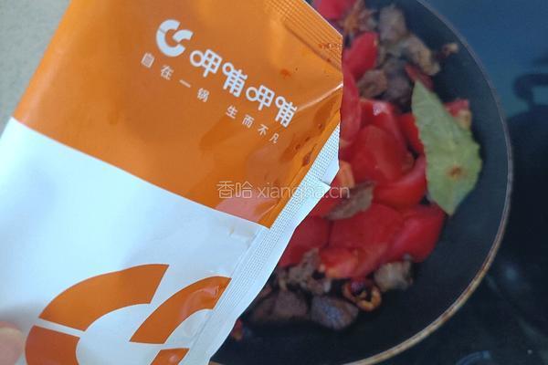 番茄炖牛肉的做法图解8