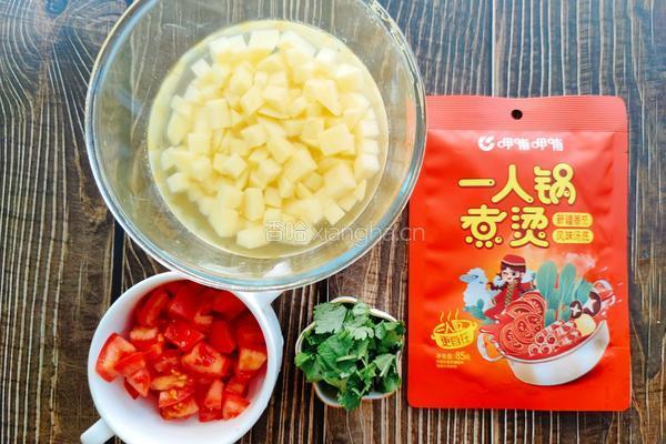 番茄牛腩的做法图解3
