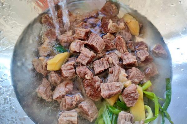 番茄牛腩的做法图解6