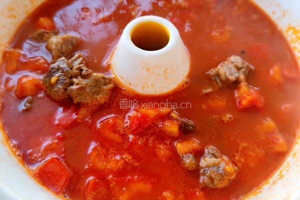 番茄牛腩的做法图解14