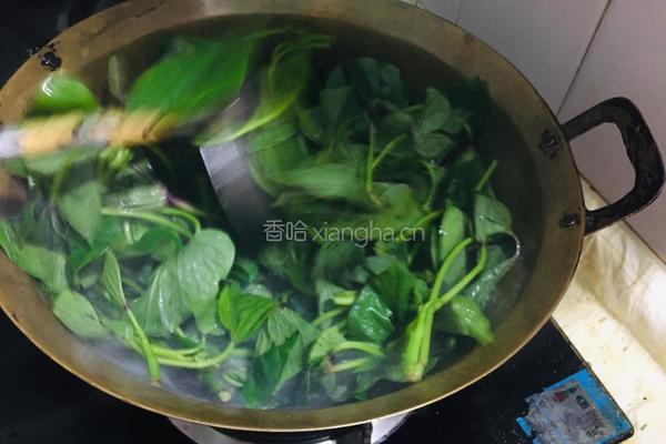 蒜香红薯叶的做法图解3