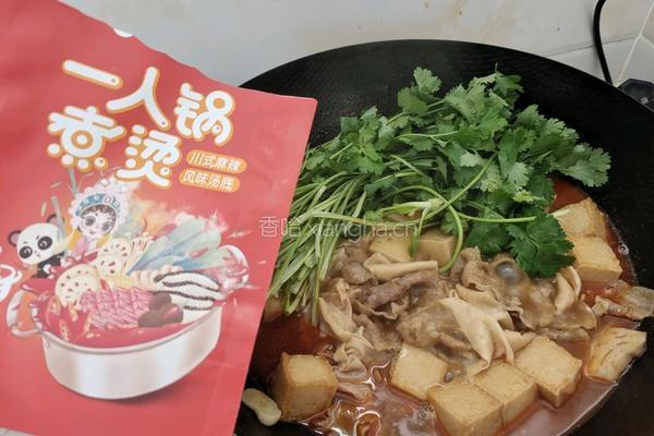 一人锅烩菜的做法图解8
