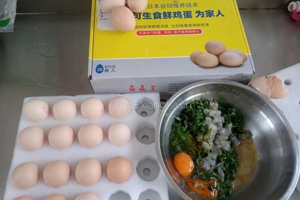 农场鸡蛋荠菜虾仁饼的做法图解4
