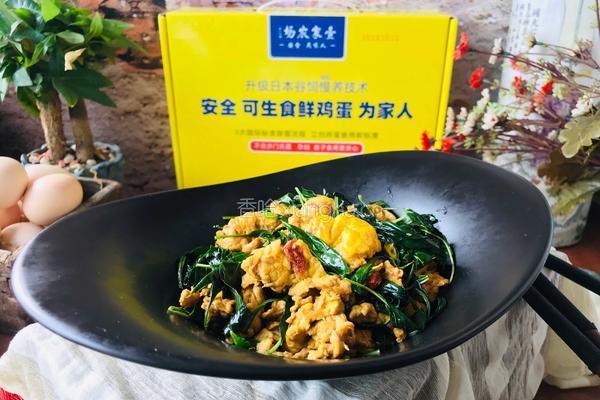 辣椒叶炒鸡蛋的做法图解7