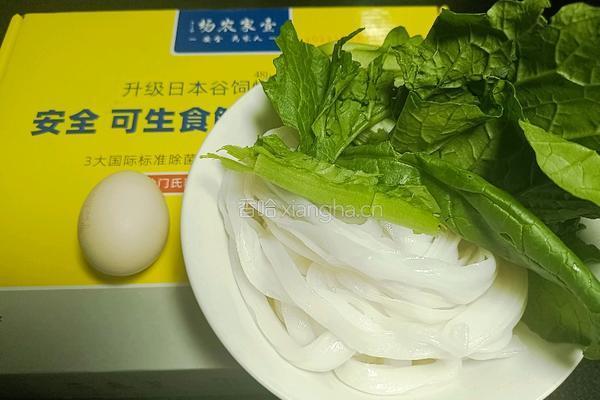 鸡蛋炒河粉的做法图解1