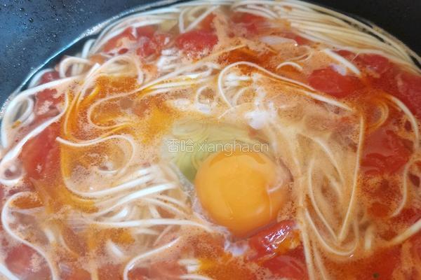 西红柿鸡蛋面的做法图解16