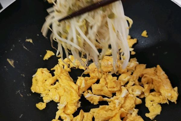 银芽炒蛋的做法图解7