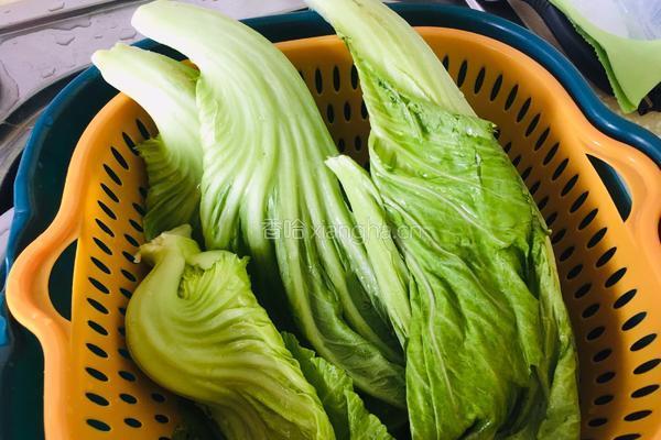 芥菜瘦肉汤的做法图解1